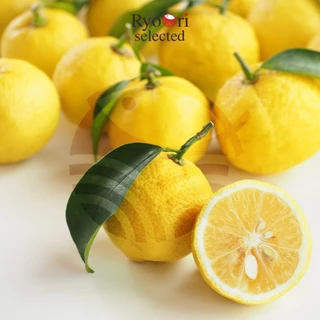 เกลือปรุงรสผสมส้มยุซุ Yuzu Shio ขนาด 80 กรัม แบรนด์ Daisho [20-00014]