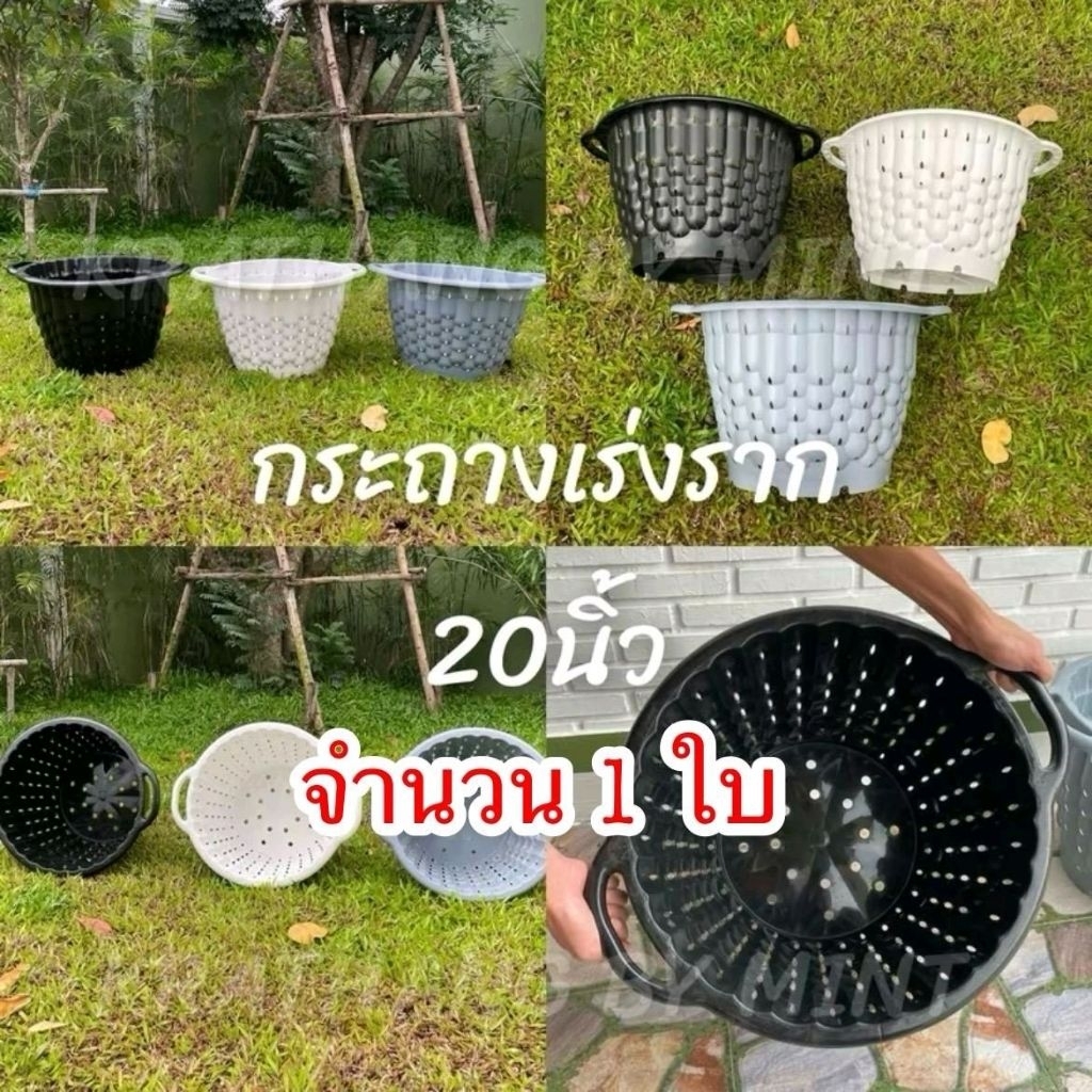 [1ใบ] กระถางเร่งราก 20นิ้ว / กระถาง Air Pot มีหูจับ