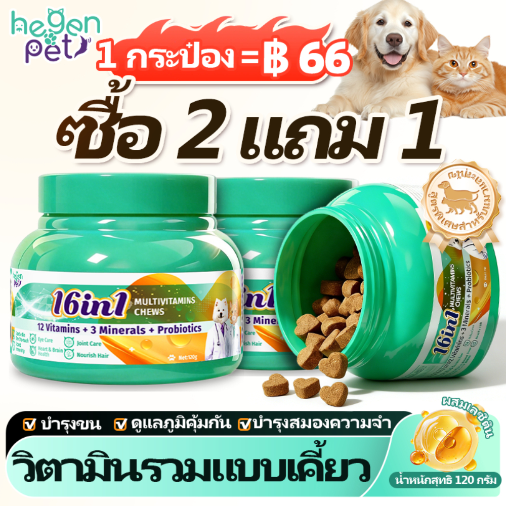 Hegen Pet 16in1 Multivitamins Chews วิตามินรวมสำหรับสุนัข บำรุงขน ผิว ข้อต่อ หัวใจ 120g