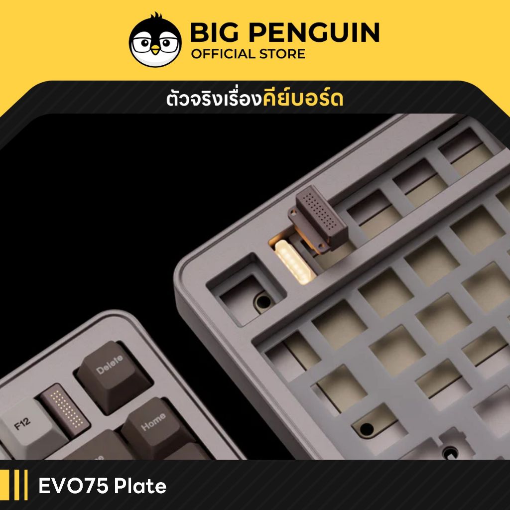 [โค้ดคุ้มลด20%] Plate สำหรับ EVO75 Evoworks Studio