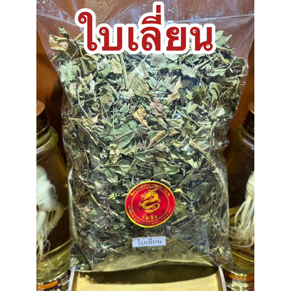 ใบเลี่ยนแห้ง ใบเลี่ยน ใบเยอะ ใบเลี่ยนแห้ง ใบเยอะ ใบรวมกิ่งก้าน สินค้าแห้งพร้อมส่ง