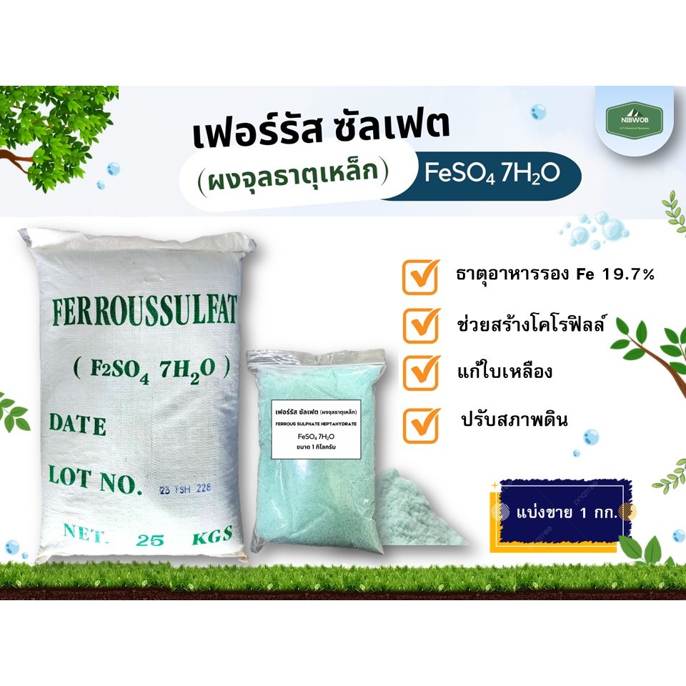 เฟอร์รัส ซัลเฟต (ผงจุลธาตุเหล็ก) แก้ปัญหาใบเหลืองจากการขาดธาตุเหล็ก กระตุ้นการเจริญเติบโตของยอดอ่อน
