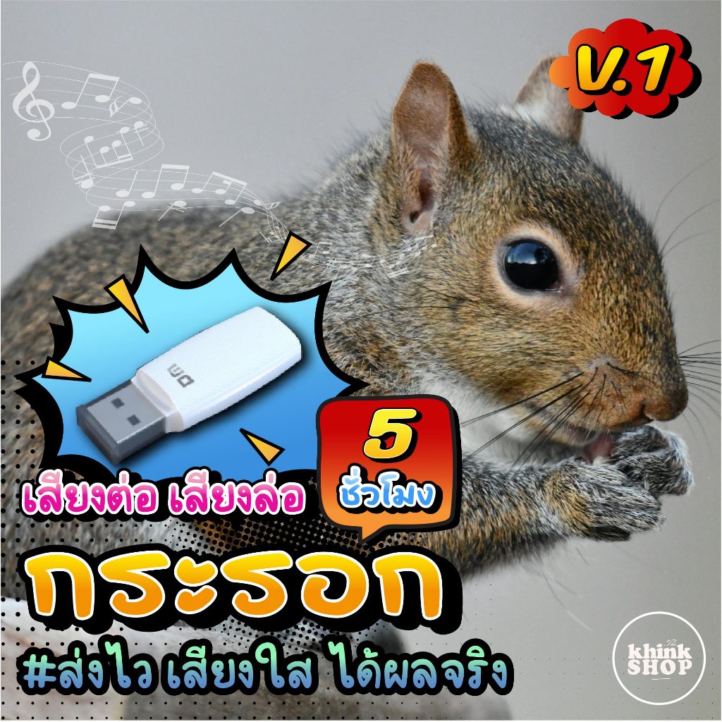 เสียงต่อกระรอก V.1 แฟลชไดรฟ์ เมม ไม่มีโฆษณาแทรก มีเก็บเงินปลายทาง