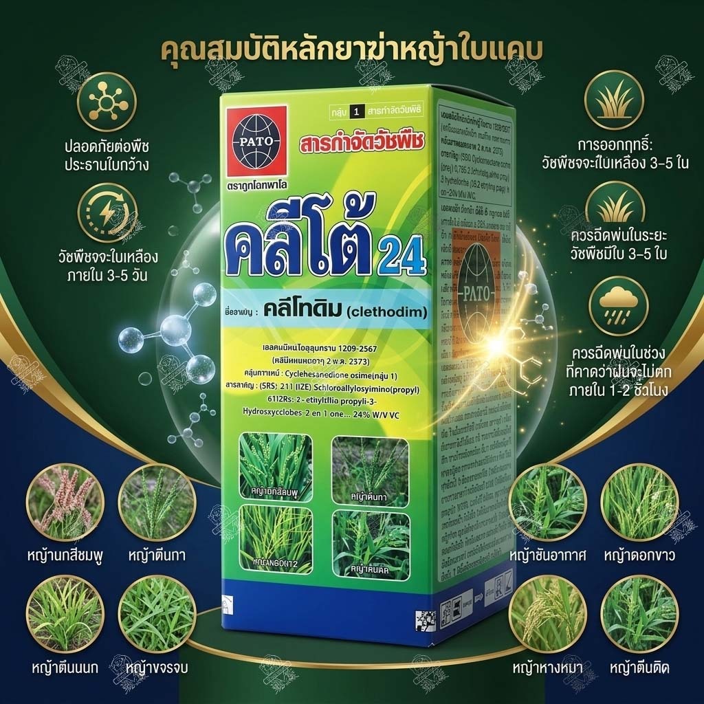 คลีโทดิม 24% ยกลัง 12 ลิตร คลีโต้ 24 ยาฆ่าหญ้าใบแคบในพริก หอม มันสำปะหลัง ฉีดทับได้ หญ้าแพรกตายเรียบ