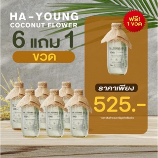 [ โปร 6 แถม 1 ] Hayoung น้ำช่อดอกมะพร้าว100% ตรา ฮายัง ไม่ใส…