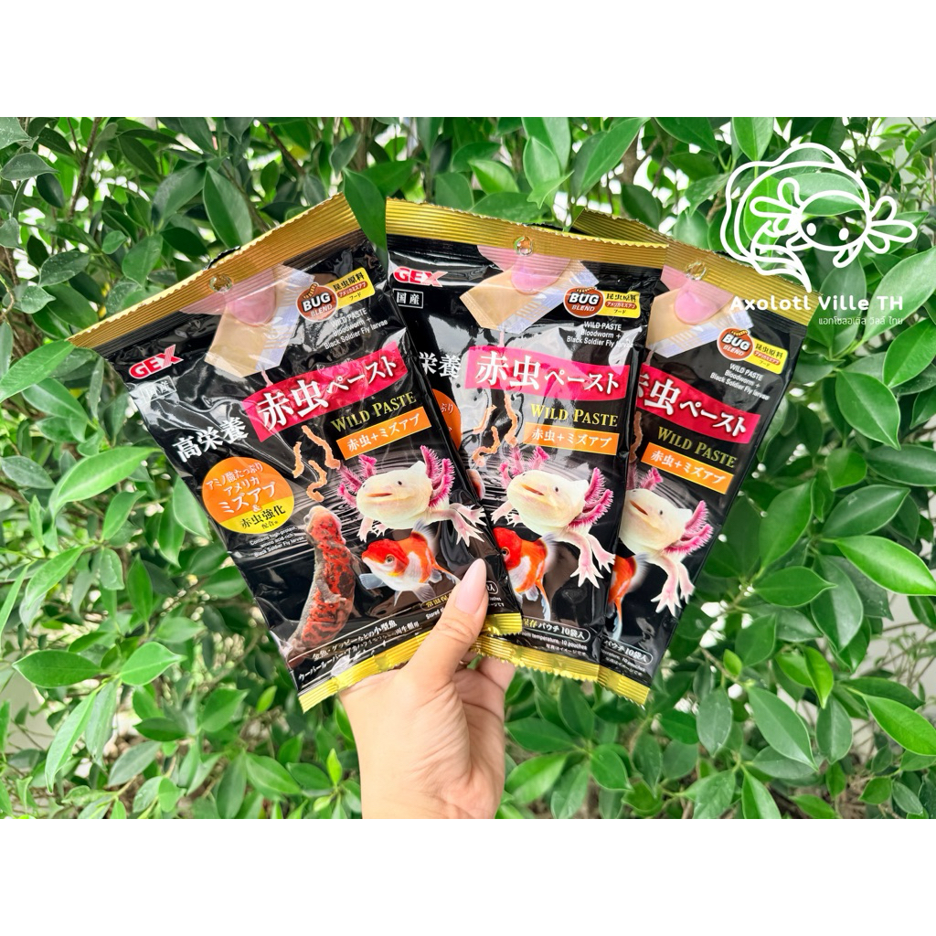 Gex Axolotl gel food อาหารเจลหมาน้ำจากญี่ปุ่น