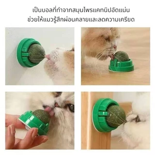 Boqi Factory แคทนิปบอล ติดกำแพง ไม่กลิ้งหาย catnip ball XJ55