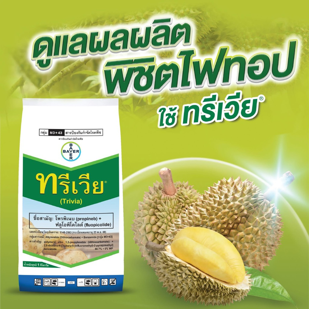 ทรีเวีย ไบเออร์ โพรพิเนบ+ฟลูโอพิโคไลด์ ป้องกันกำจัดไฟทอปธอร่าทุเรียน คลุกเมล็ดข้าวโพดป้องกันราน้ำค้าง คุมโรคได้ทุกระยะ
