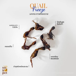 นกกระทาฟรีซดราย ขนมแมว ขนมหมา โปรตีนสูง ไขมันต่ำ YuNi Pet