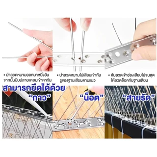 หนามป้องกันไล่นก ป้องกันนกเกาะ ป้องกันนกมาทำรัง วิธีกำจัดนกได้ผลจริง ทนทาน