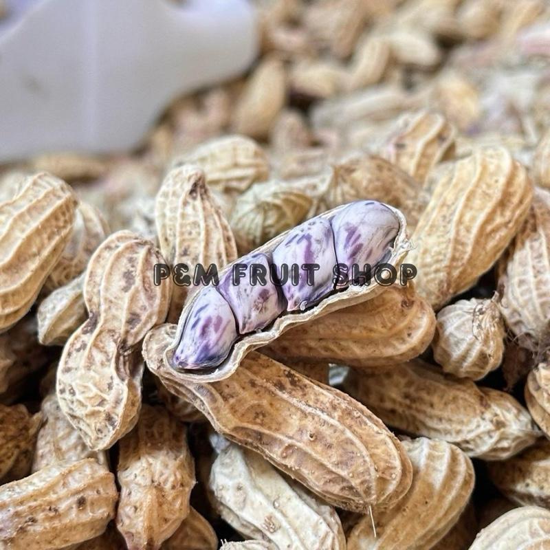 [ 2 ]ถั่วต้ม ลายเสือ 2 กิโลกรัม คัดพิเศษ รสชาติอร่อย ควรแช่เย็นหลังรับสินค้า