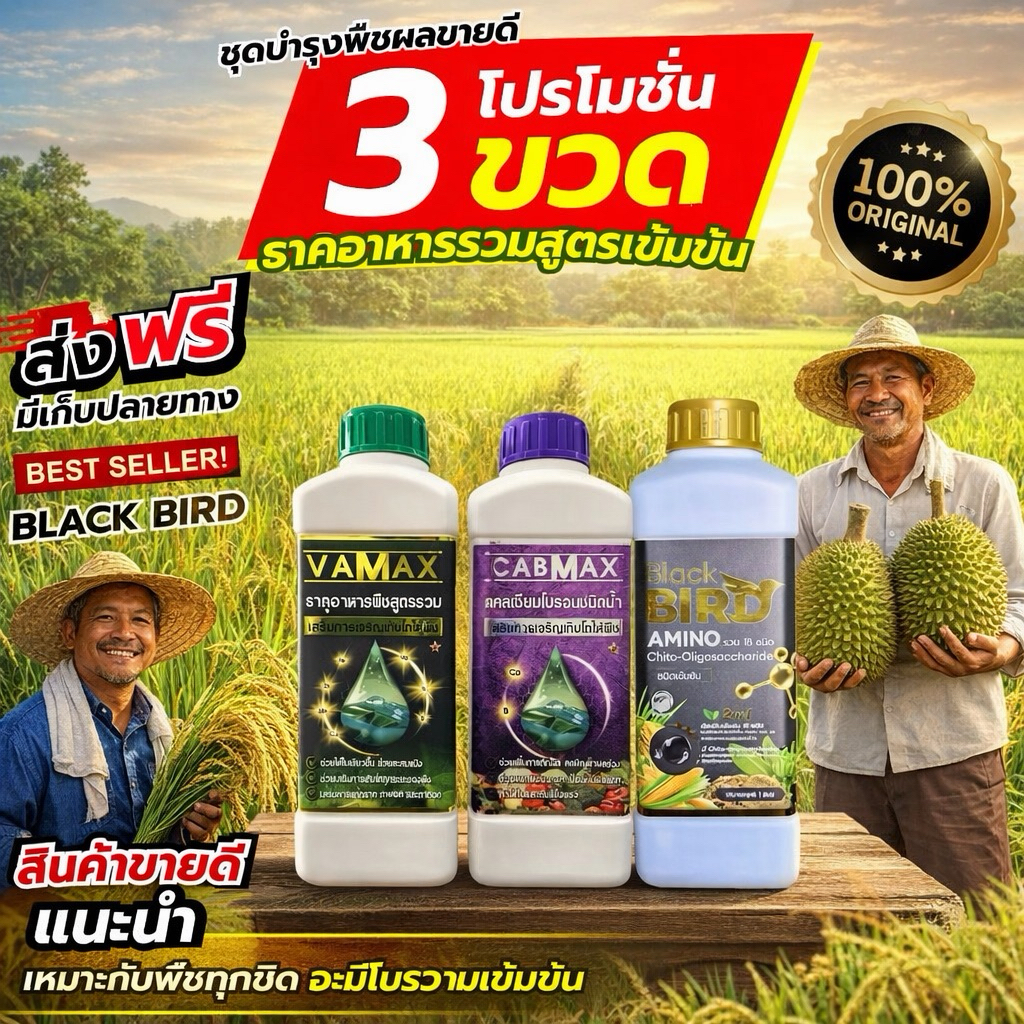 เซตบำรุง เร่ง ชุดบำรุงพืชผลขายดี (CabMax 1 ขวด + VaMax 1 ขวด +BlackBird 1 ขวด)