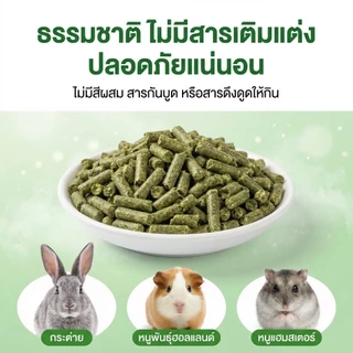 PETLUSCI® หญ้าอัลฟาฟ่าอัดเม็ด 500ก กัดฟันและทําความสะอาดฟัน ดูแลระบบย่อยอาหาร ลดกลิ่นไม่พึงประสงค์