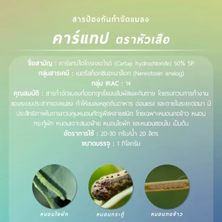 คาร์แทป ตราหัวเสือ (คาร์แทปไฮโดรคลอไรด์ 50% W/W SP) 1 กิโลกรัม