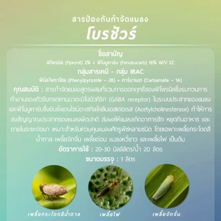 โบรชัวร์ (ฟิโพรนิล 2% + ฟีโนบูคาร์บ 16% W/V EC) 1 ลิตร