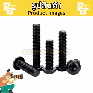 น็อต สกรู หัวจมกลม หกเหลี่ยมใน สแตนเลส 304 ชุบดำ เกลียวมิล หยาบ M5 M6 M8
