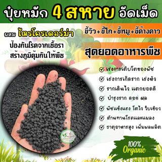 มูล 4 สหายอัดเม็ด มูลค้างคาว+ไก่+หมู+วัว สุดยอดอาหารพืช เกรดA ละลายไวไร้กลิ่น**ผสมไตรโครเดอร์ม่า
