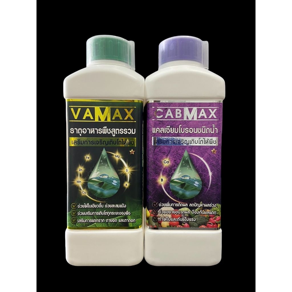 1แถม1ปุ๋ยVAMAX&CABMAX