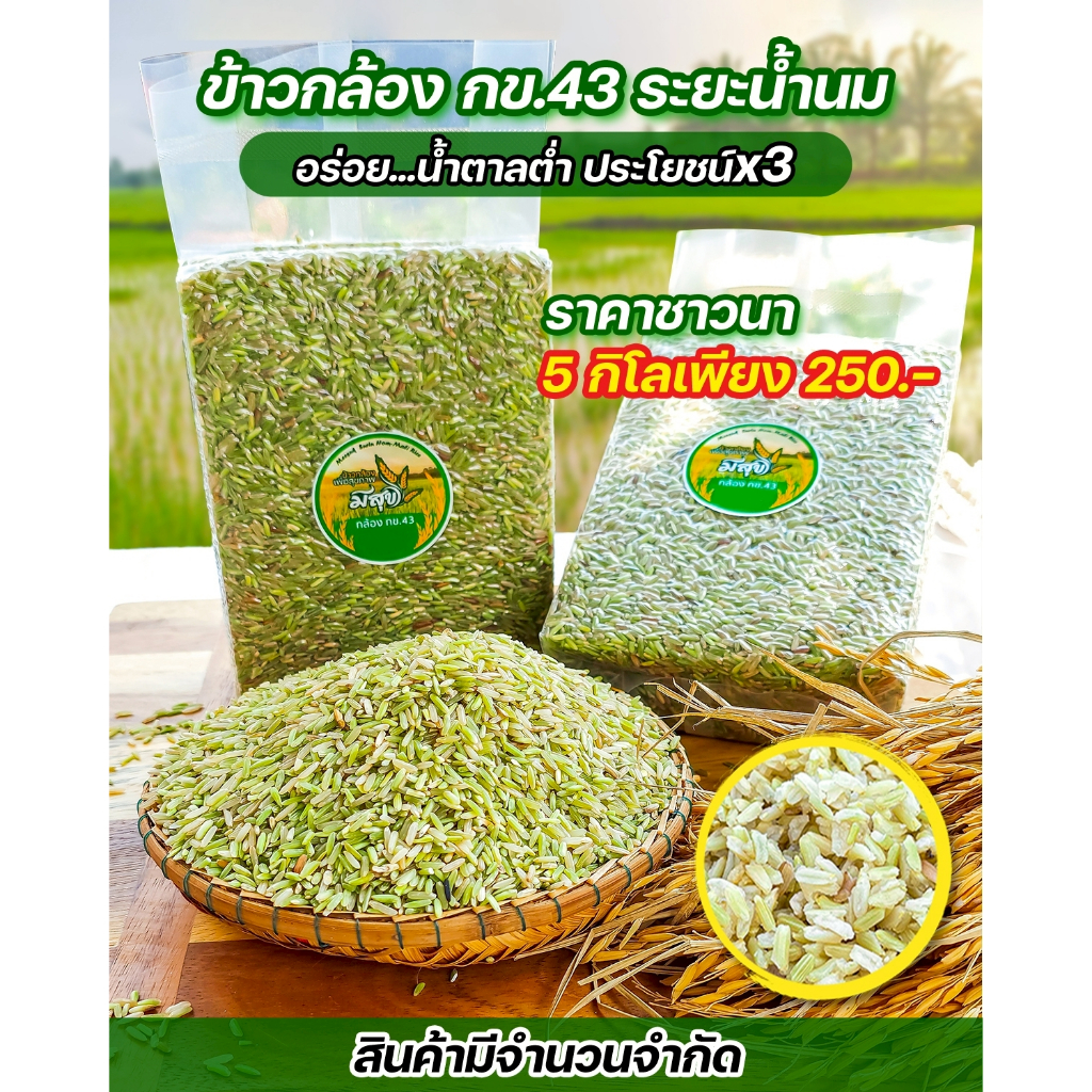 ข้าวกล้อง กข.43 น้ำนม ตรามีสุข 5 กิโล (น้ำตาลต่ำ)