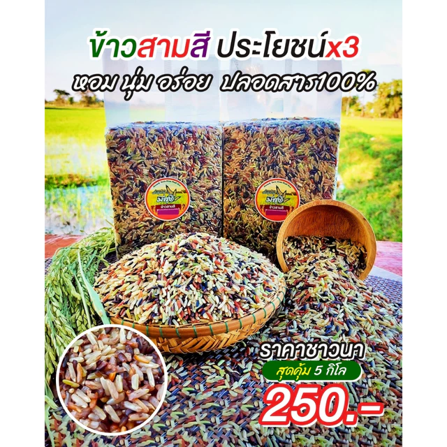 ข้าวกล้องสามสี 5 กิโลกรัม ตรามีสุข (ไรซ์เบอร์รี่+กล้องแดง+กล้อง กข.43)