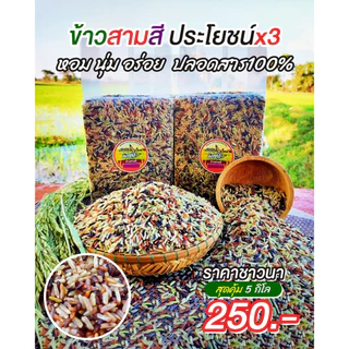 ข้าวกล้องสามสี 5 กิโลกรัม ตรามีสุข (ไรซ์เบอร์รี่+กล้องแดง+กล้อง กข.43)