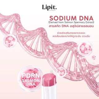 Lip It PDRN Balm 3g. (พีดีอาร์เอ็นบาล์ม 3g.) 4 สี ลิปอิท