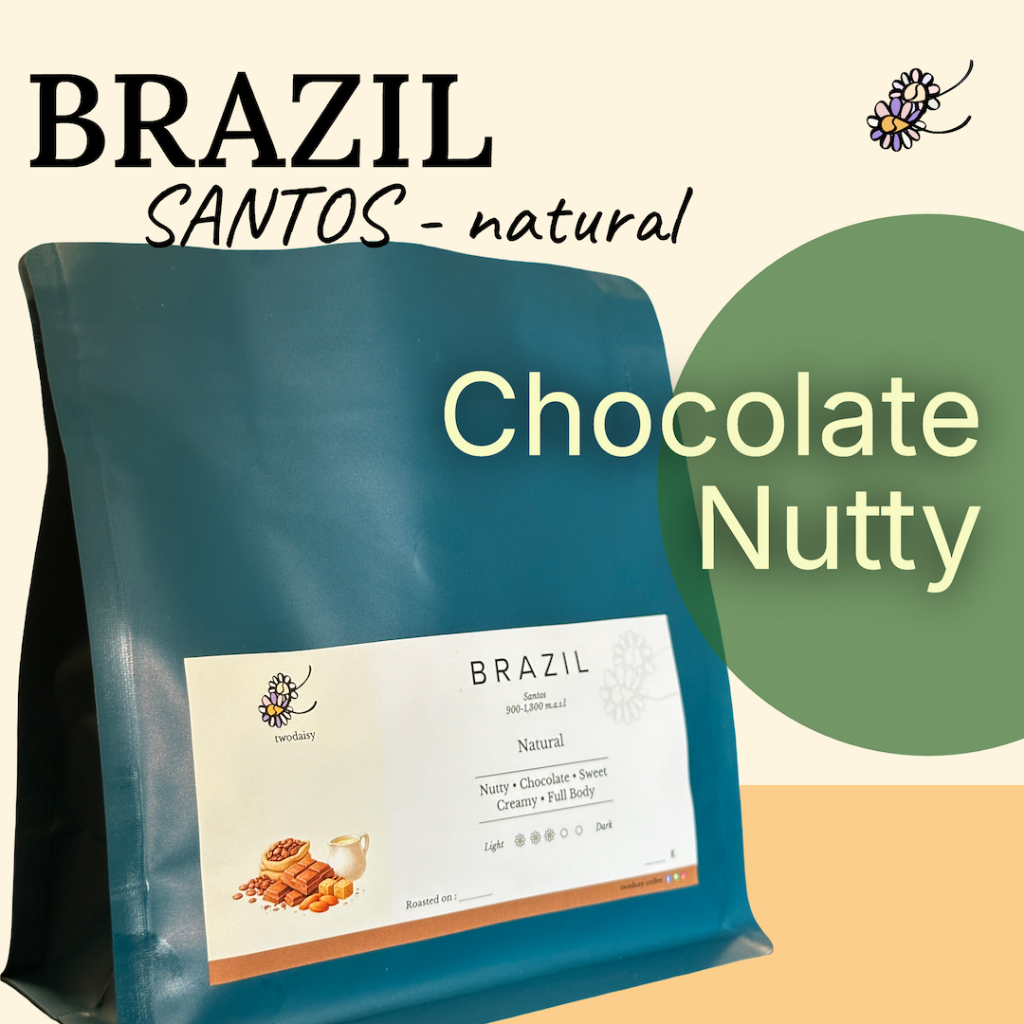 Brazil Santos เมล็ดกาแฟคั่วกลาง Chocolate Nutty Coffee Beans ดื่มง่าย กาแฟคั่ว | twodaisy