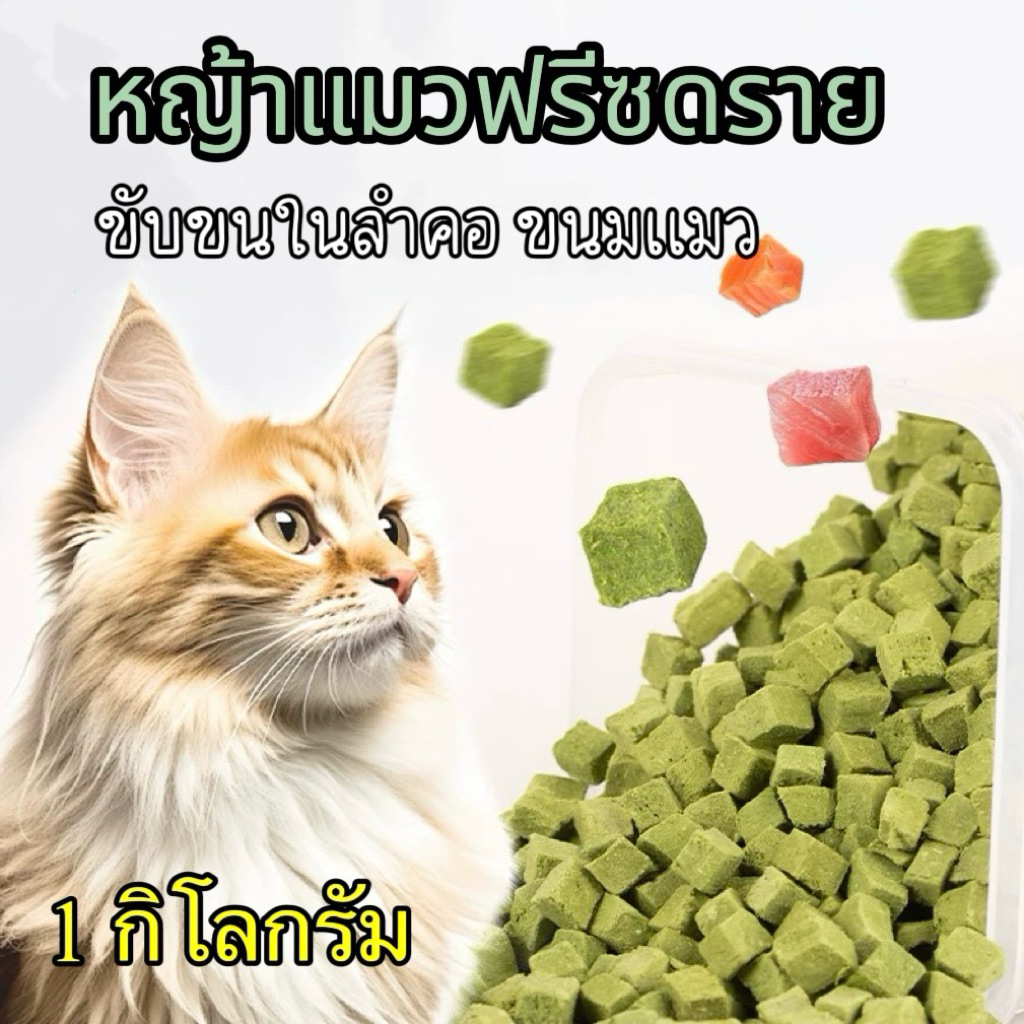 หญ้าแมวฟรีซดราย Pawtique ขนมแมว ขับขนในลำคอ [สำหรับน้องแมว 3 เดือนขึ้นไป] ต้นอ่อนข้าวสาลี ขนมฟรีซดราย 1 กิโลกรัม 1kg