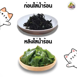 100กรัม สาหร่ายทะเลวากาเมะ แผ่นใหญ่คุณภาพดี NEW