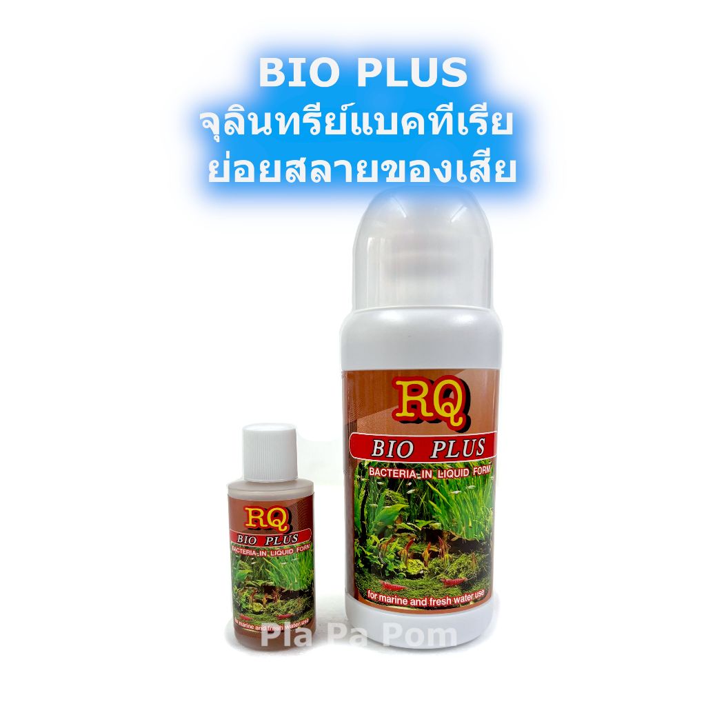 RQ BIOPLUS ไบโอพลัส แบคทีเรียน้ำ ย่อยสลายของเสียในน้ำ