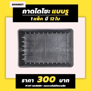 ถาดไดโซะ แบบรู แพ็ค 12 ใบ