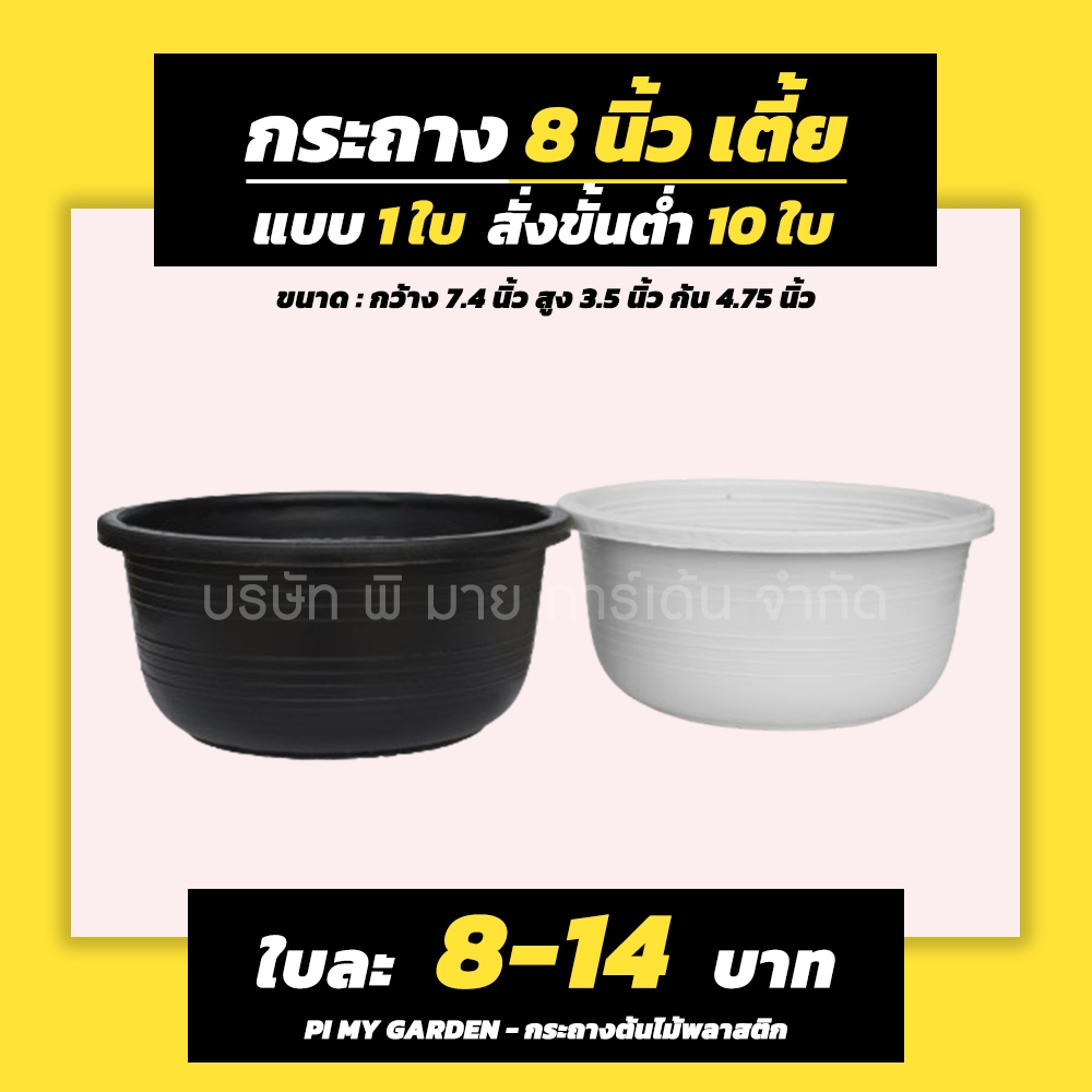 กระถางต้นไม้ ทรงเตี้ย 8 นิ้ว สีดำ สีขาว ขั้นต่ำ 10 ใบ