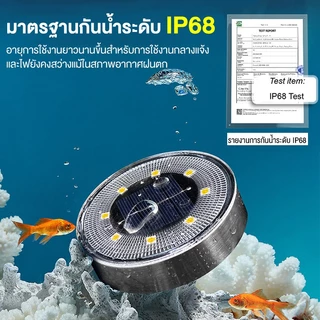 ไฟปักสนาม LED โคมไฟสนามโซล่าเซลล์ โคมไฟตกแต่งสนามหญ้า แต่งสวนทางเดินไฟพลังงานแสงอาทิตย์ ทรงกลม 8 16 20LED แบบวอร์มและขาว