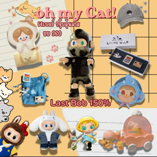 ❌หมด❌อิจิบัง ยุกยิก |💰 โอ้ มาย แค(ช)ท _ยย360 🐾💸 ของสะสม แฟชั…