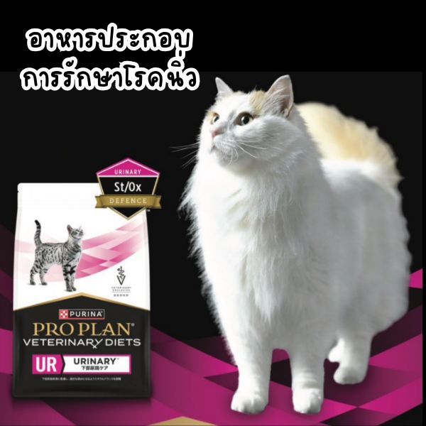 อาหารแมว Pro Plan Urinary UR 2 กก. สำหรับสุขภาพทางเดินปัสสาวะ