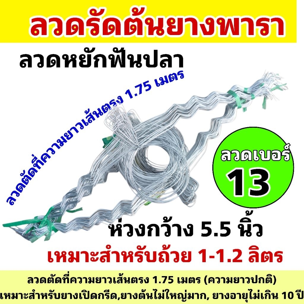ลวดรัดต้นยางพาราเบอร์ 13 (วงใหญ่) ขนาด 5.5 นิ้ว  (ใช้สำหรับถ้วย 1-1.2 ลิตร) ความยาว 1.75-2 เมตร มัดละ 100 เส้น
