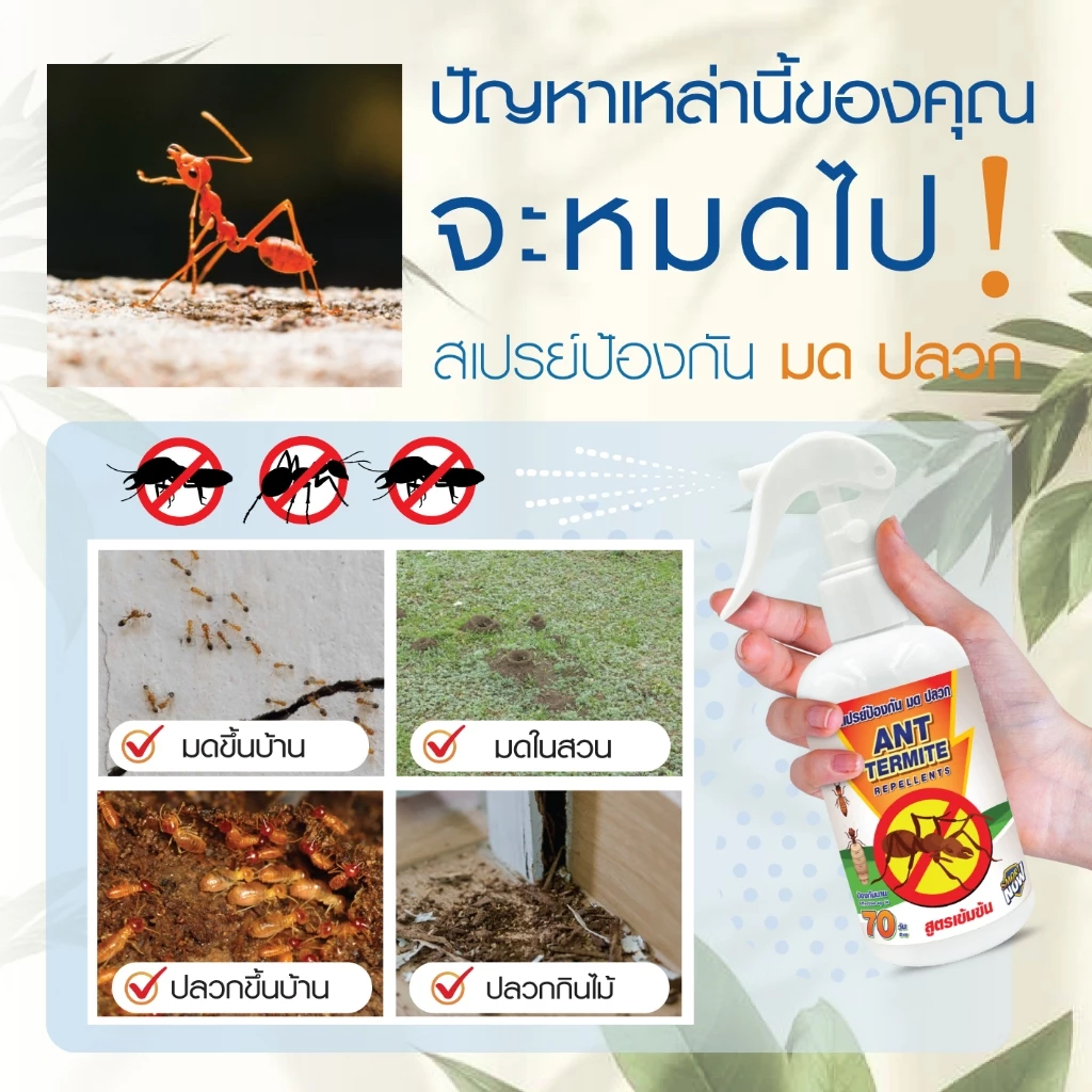 ไล่มด กำจัดมด น้ำยาไล่มด ตายยกลัง มดแดง มดดำ thumbnail 3