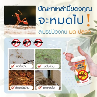 ไล่มด กำจัดมด น้ำยาไล่มด ตายยกลัง มดแดง มดดำ