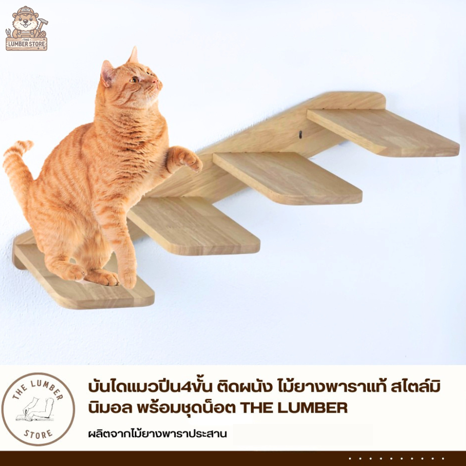 บันไดแมวปีน4ขั้น ติดผนัง ไม้ยางพาราแท้ สไตล์มินิมอล พร้อมชุดน็อต THE LUMBER