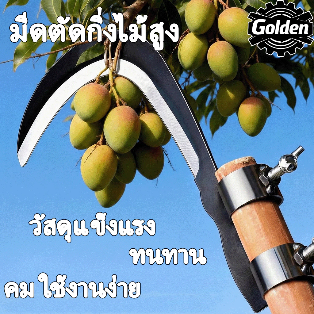 มีดขอ เคียว เกี่ยว เก็บผลไม้ บนที่สูง ไม่ต้องปีนป่าย ให้เสี่ยงอันตราย เหล็กแมงกานีสขนาดใหญ่ หนา คม แข็งแรงทนทาน