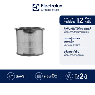 [อุปกรณ์เสริม] Electrolux 900922975 EFDCLN4 Filter ฟิลเตอร์เ…
