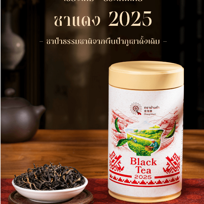 ชาป่าชนิดชาดำจากเชียงใหม่2025清迈野生红茶2025 Will Black Tea From ChiangMai