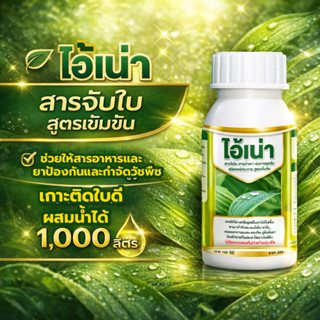 ไอ้เน่า สารจับใบ เข้มข้น10เท่า ผสมน้ำได้1000ลิตร เข้มข้นมาก …