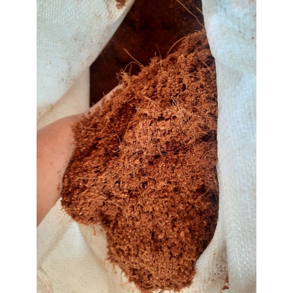 ขุยมะพร้าว 1 กิโลกรัม (จัดส่ง 1-2 วัน)