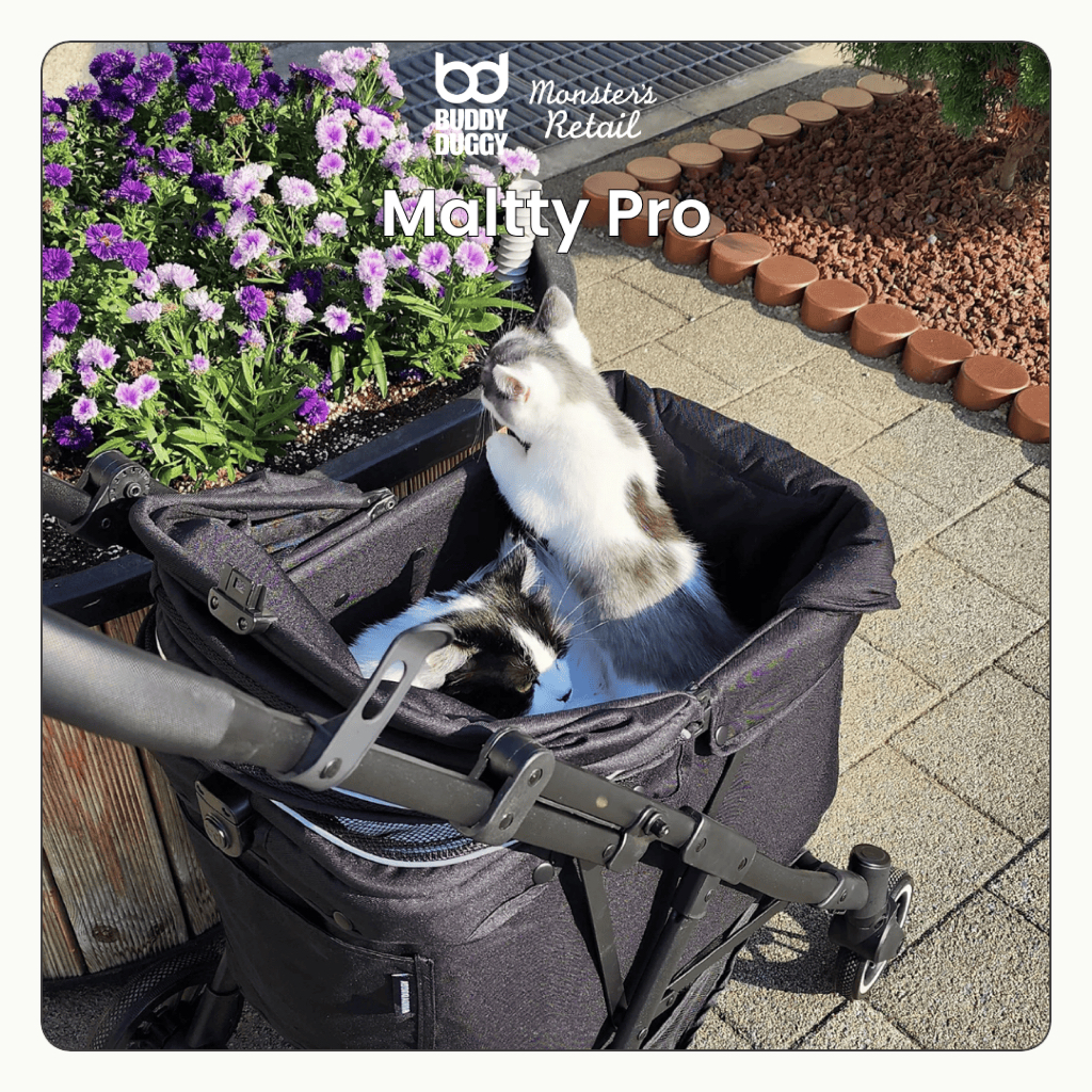 รถเข็นสัตว์เลี้ยง BUDDYDUGGY รุ่น Maltty Pro รูปที่ 7