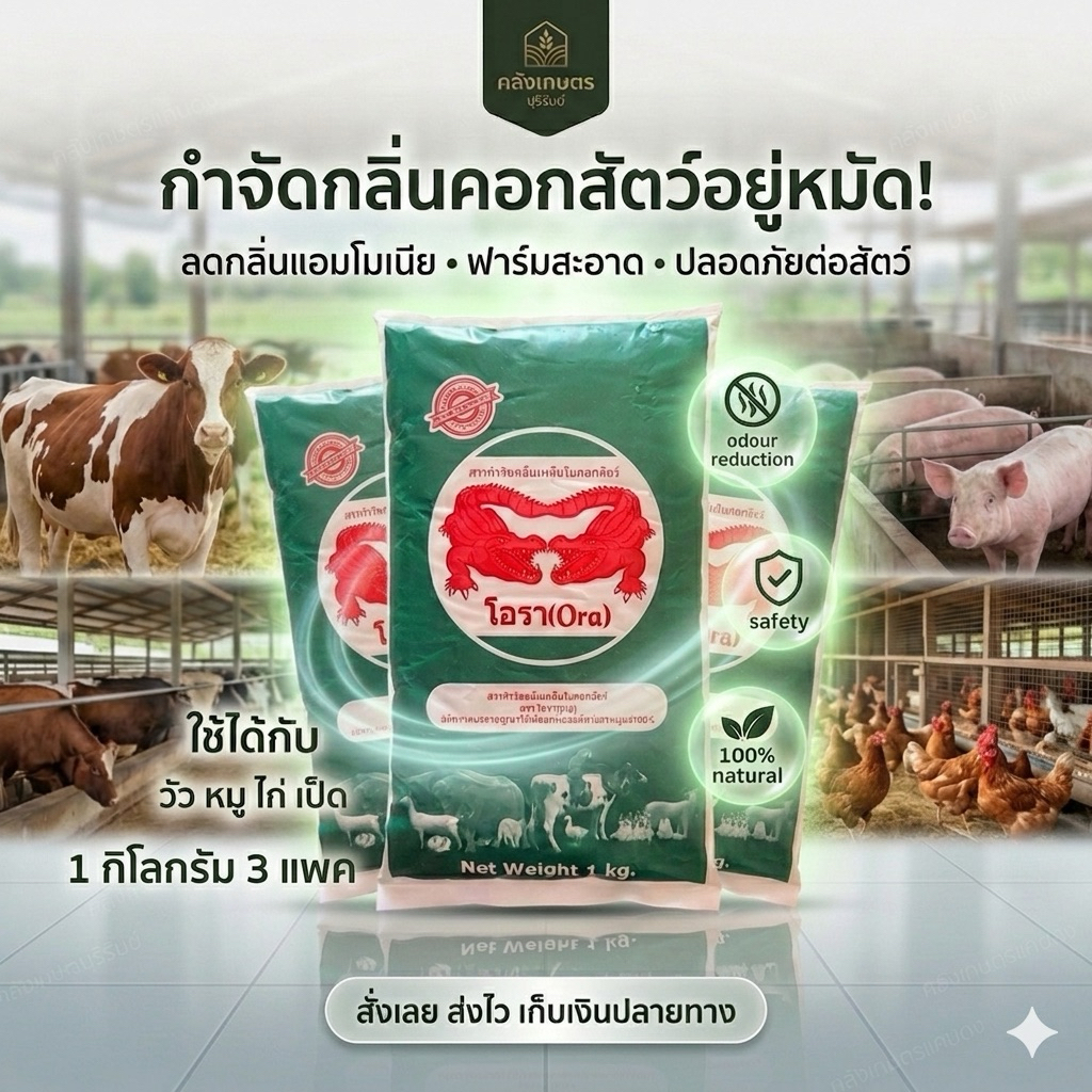 [💥ขายดี ] กำจัดกลิ้นเหม็นในคอกสัตว์ อาหารเสริมจิ้งหรีด โอรา ORA บรรจุ 1 KG. เหมาะกับสัตว์ทุกชนิด ปลอดภัยต่อคนและสัตว์