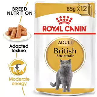Royal Canin British Shorthair Pouch อาหารเปียกพันธุ์บริติชชอร์ทแฮร์