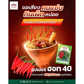พริก ซุปเปอร์ฮอท 40 ศรแดง ขนาด 7,000 เมล็ด (ประมาณ 40 กรัม) ปลูกได้ 1 ไร่