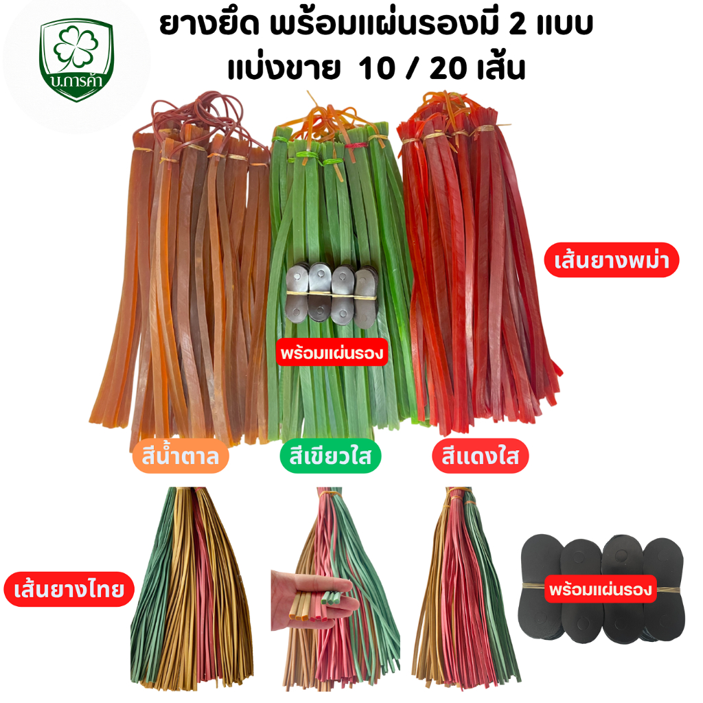 ยางหนังสติ๊กเส้นพม่า แบ่งขาย 10  / 20 เส้น + แผ่นหนังรอง10/20แผ่น