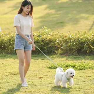 wen.W2 สายจูงสัตว์เลี้ยง กระต่าย สําหรับสัตว์เลี้ยง ขนาดเล็ก